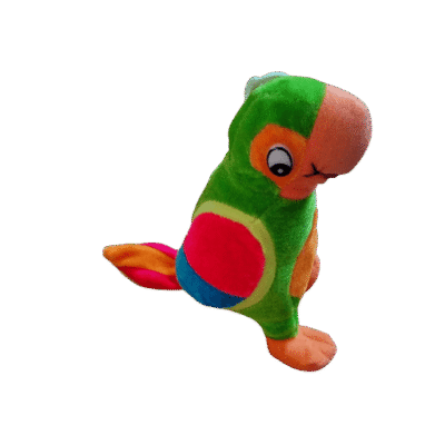 Papegaai klein gekleurd