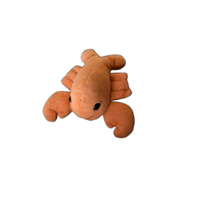 Krab oranje