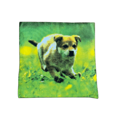 Kussenhoes rennende pup